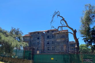 Büyükada Rum Yetimhanesi’nin günümüzdeki görünümü. Dünyanın en büyük ahşap yapılarından biri kabul edilen tarihi bina, çam ağaçlarının arasında tüm ihtişamı ve yıpranmışlığıyla ayakta duruyor.