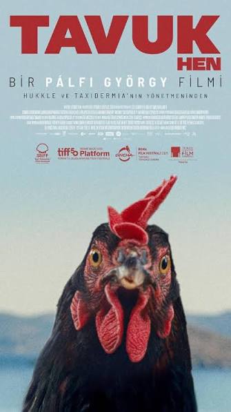 Tavuk / Hen Afişi