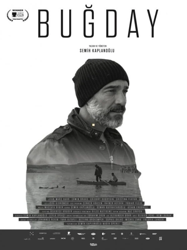 Buğday - Semih Kaplanoğlu Film Afişi